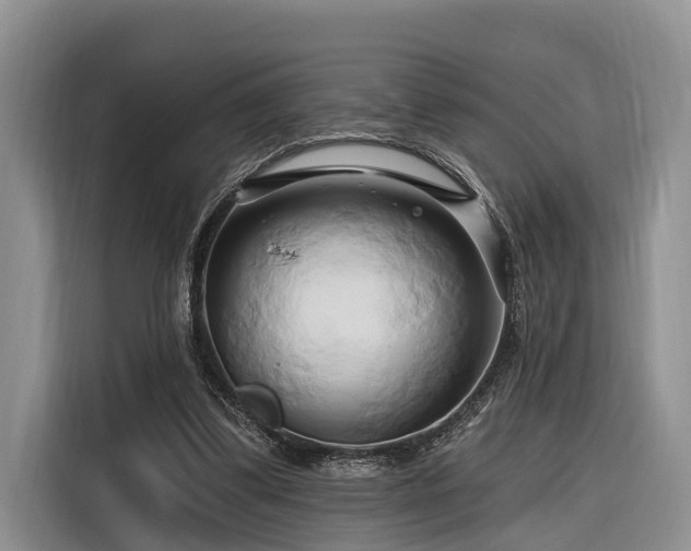 X0000116280299200912071155