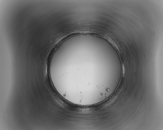 X0000116280301200912071155