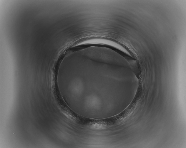 X0000116280303200912071155