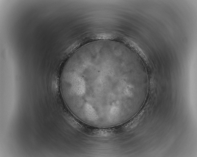 X0000116280305200912071155