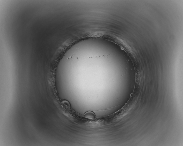 X0000116280307200912071155