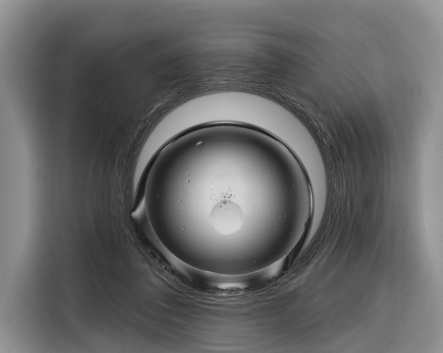 X0000116280308200912071155