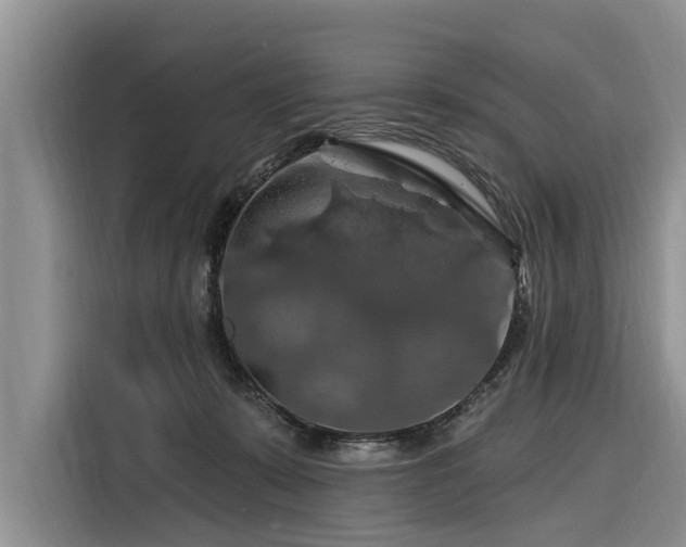 X0000116280319200912071155