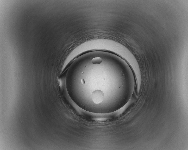 X0000116280320200912071155