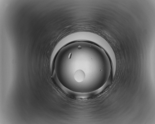 X0000116280327200912071155