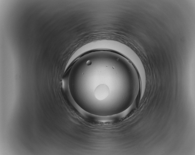 X0000116280328200912071155