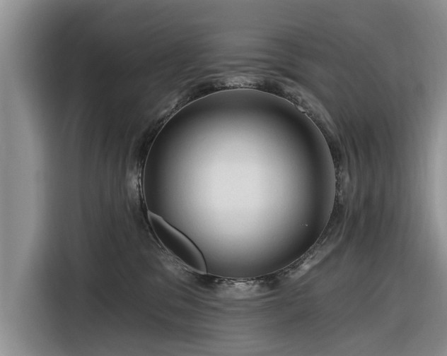 X0000116280329200912071155