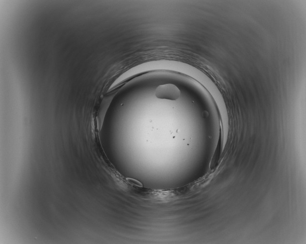X0000116280333200912071155