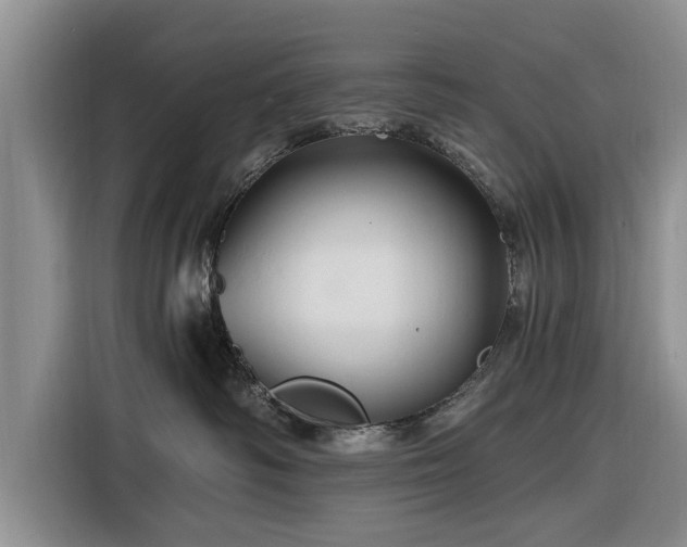 X0000116280334200912071155