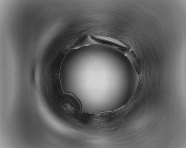 X0000116280335200912071155