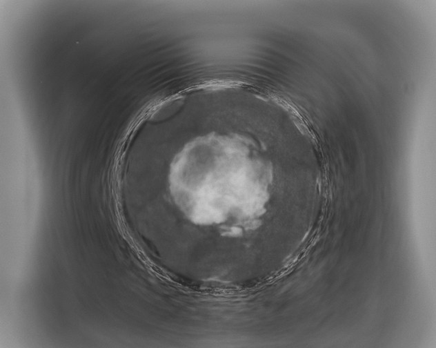 X0000116280337200912071154