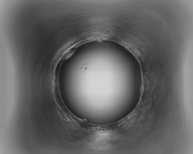 X0000116280338200912071154