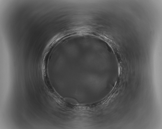 X0000116280339200912071154