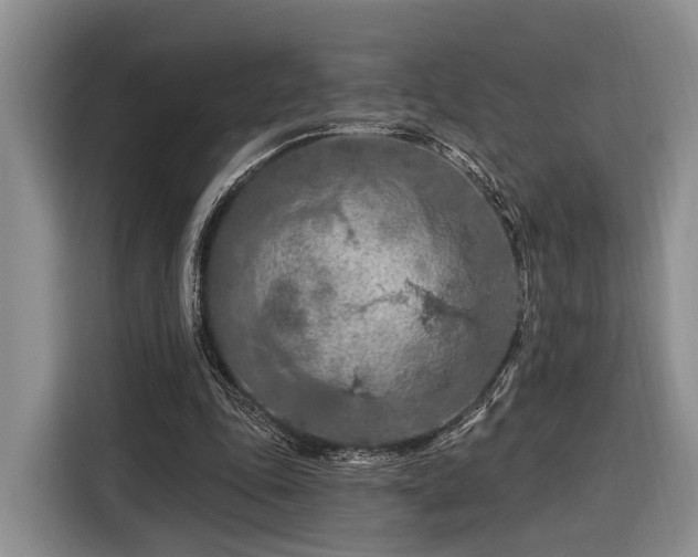 X0000116280343200912071154