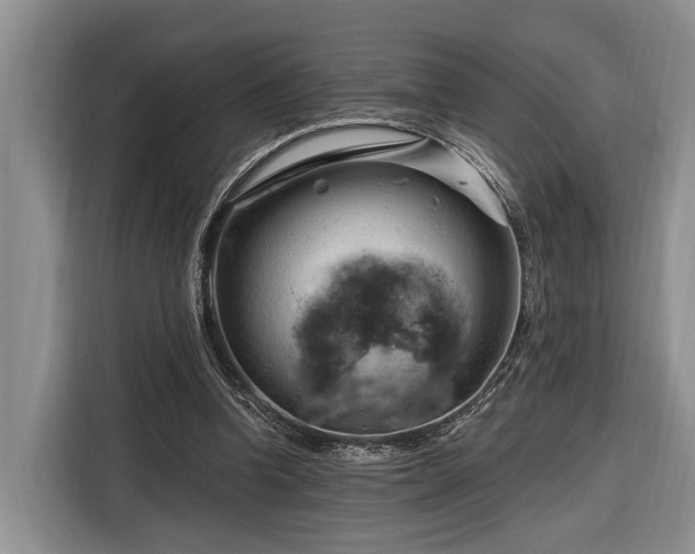 X0000116280346200912071154