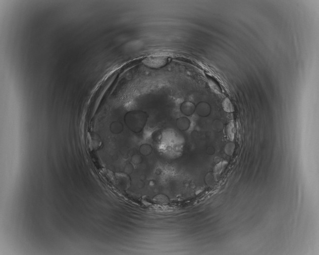 X0000116280347200912071154