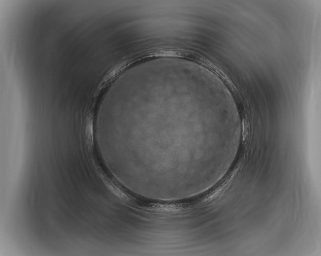 X0000116280349200912071155