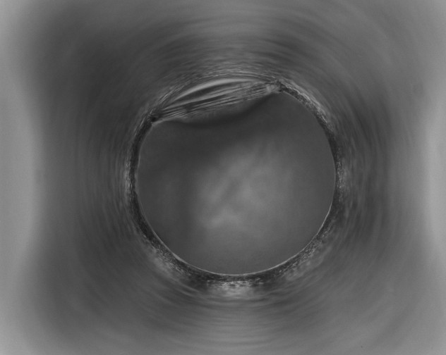 X0000116280353200912071155