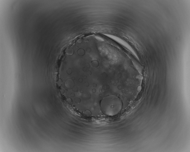 X0000116280359200912071155