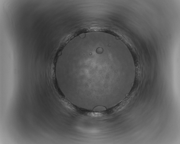 X0000116280361200912071155