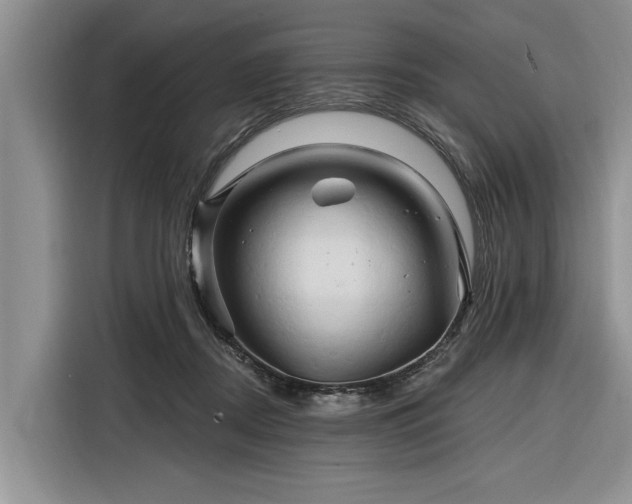 X0000116280362200912071155