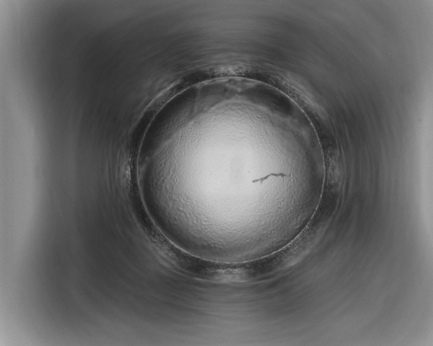 X0000116280363200912071155