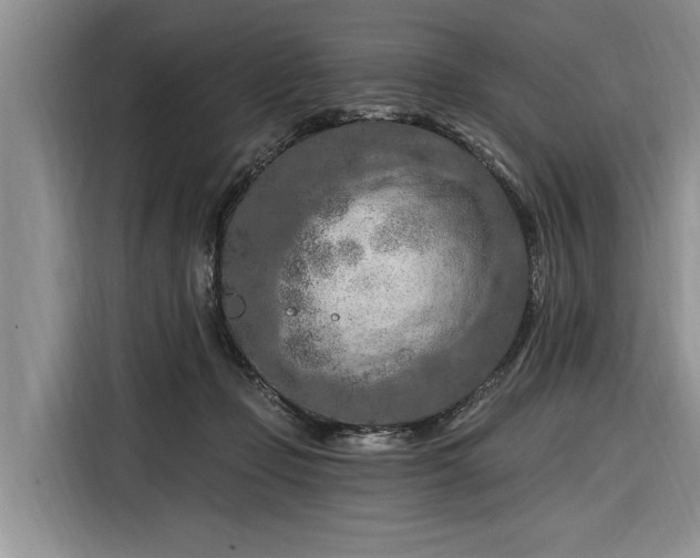 X0000116280365200912071155