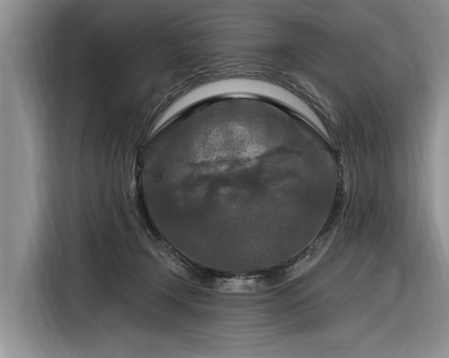 X0000116280366200912071155