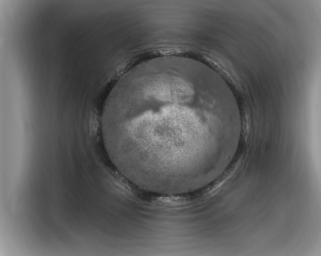 X0000116280367200912071155