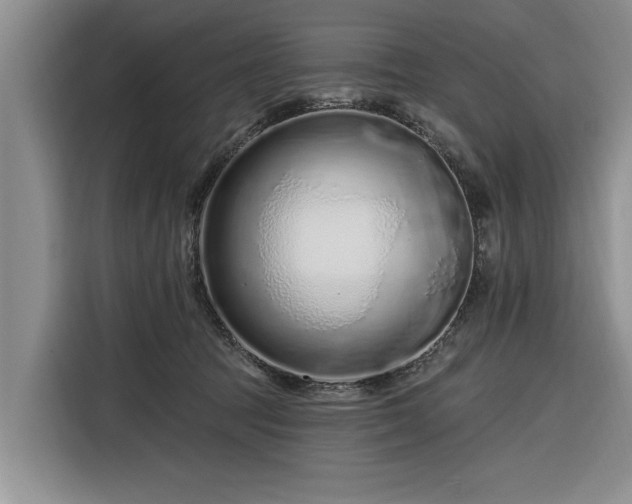 X0000116280369200912071155