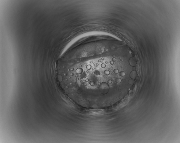 X0000116280371200912071155