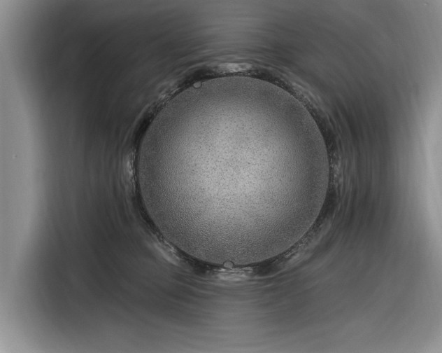 X0000116280373200912071155
