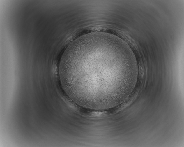 X0000116280375200912071155