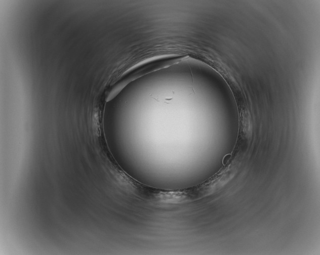 X0000116280378200912071155
