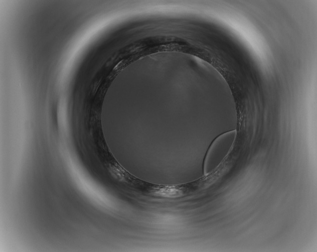 X0000116280383200912071155