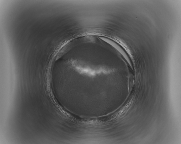 X0000116280385200912071154