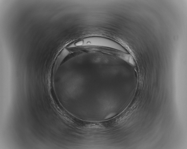 X0000116280386200912071154