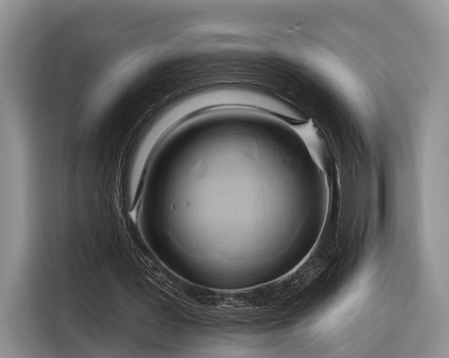 X0000116280387200912071154