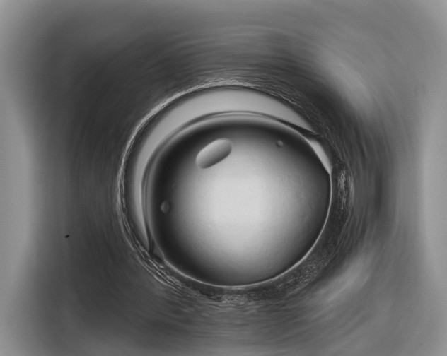 X0000116280388200912071154