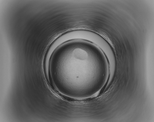 X0000116280389200912071154