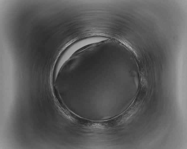 X0000116280390200912071154