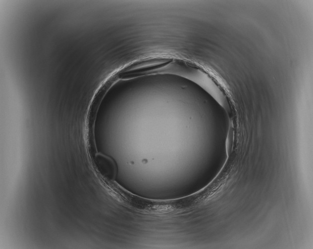 X0000116280391200912071154