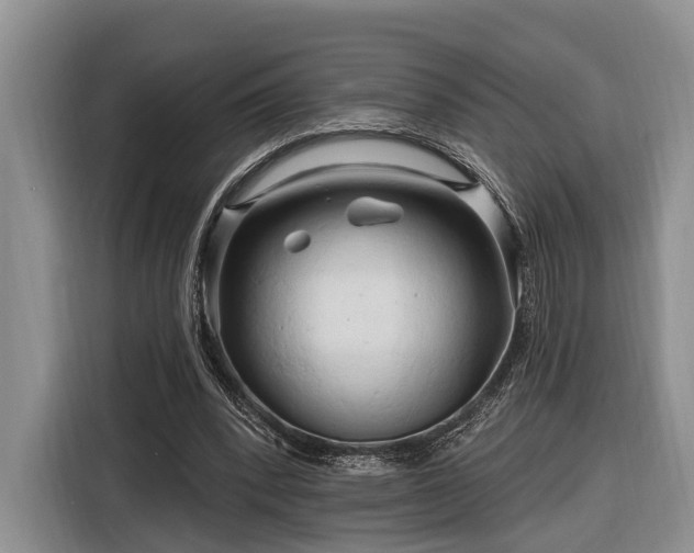 X0000116280392200912071154