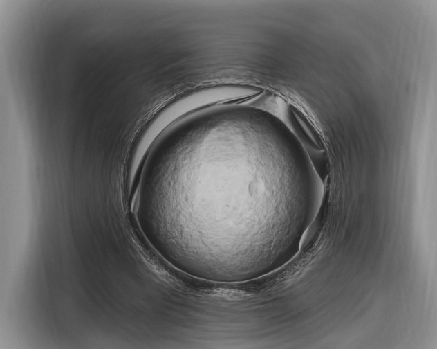 X0000116280393200912071154