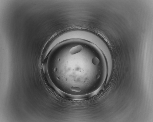 X0000116280395200912071154