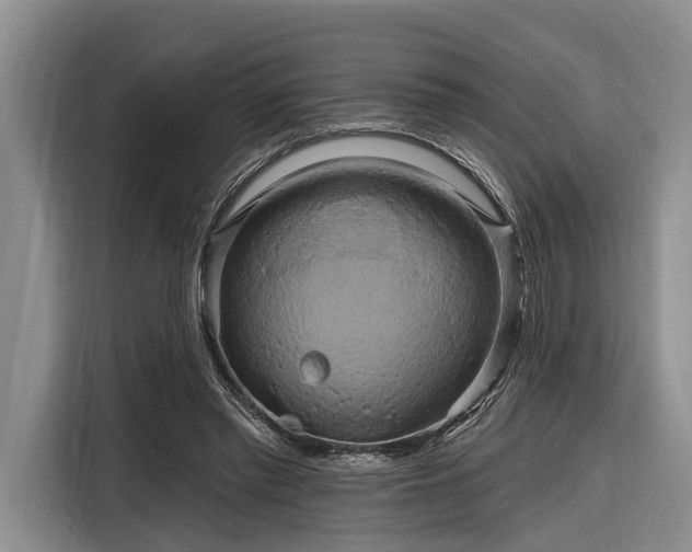 X0000116280397200912071154
