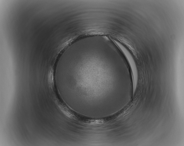 X0000116280398200912071154