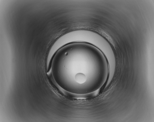 X0000116280401200912071154