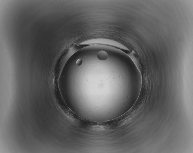 X0000116280404200912071154
