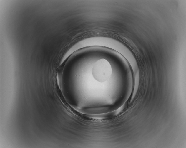X0000116280409200912071154